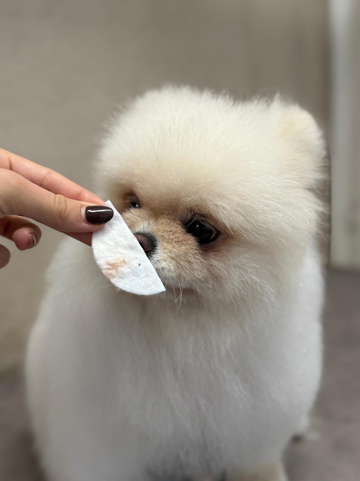 Lotion Yeux — Biogance 100ml