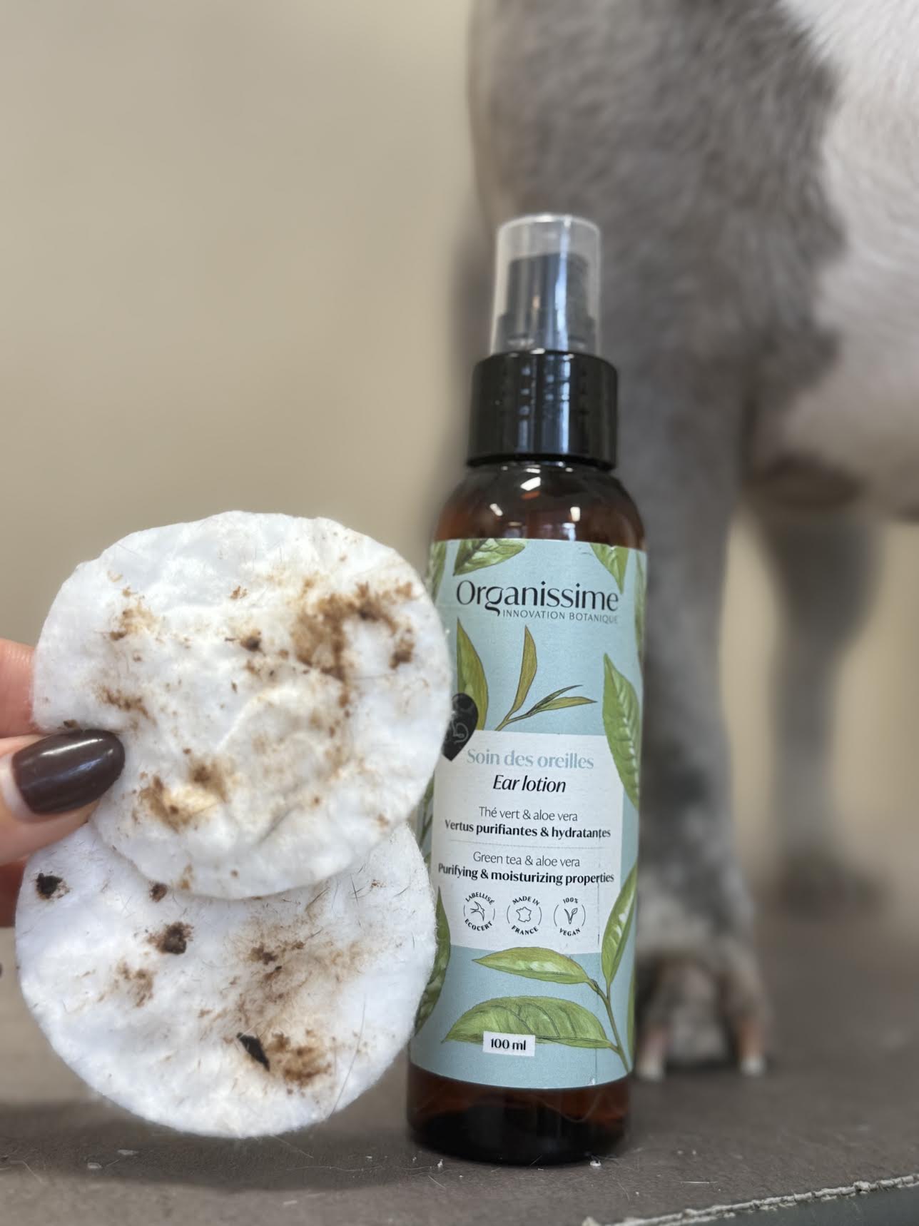 Lotion Oreilles — Biogance 100ml