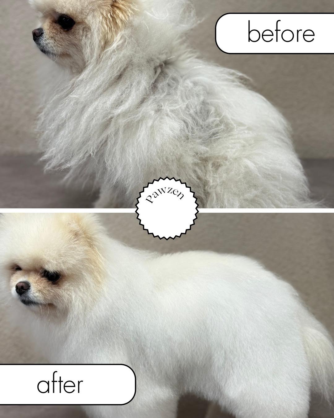 Coffret pelage parfait