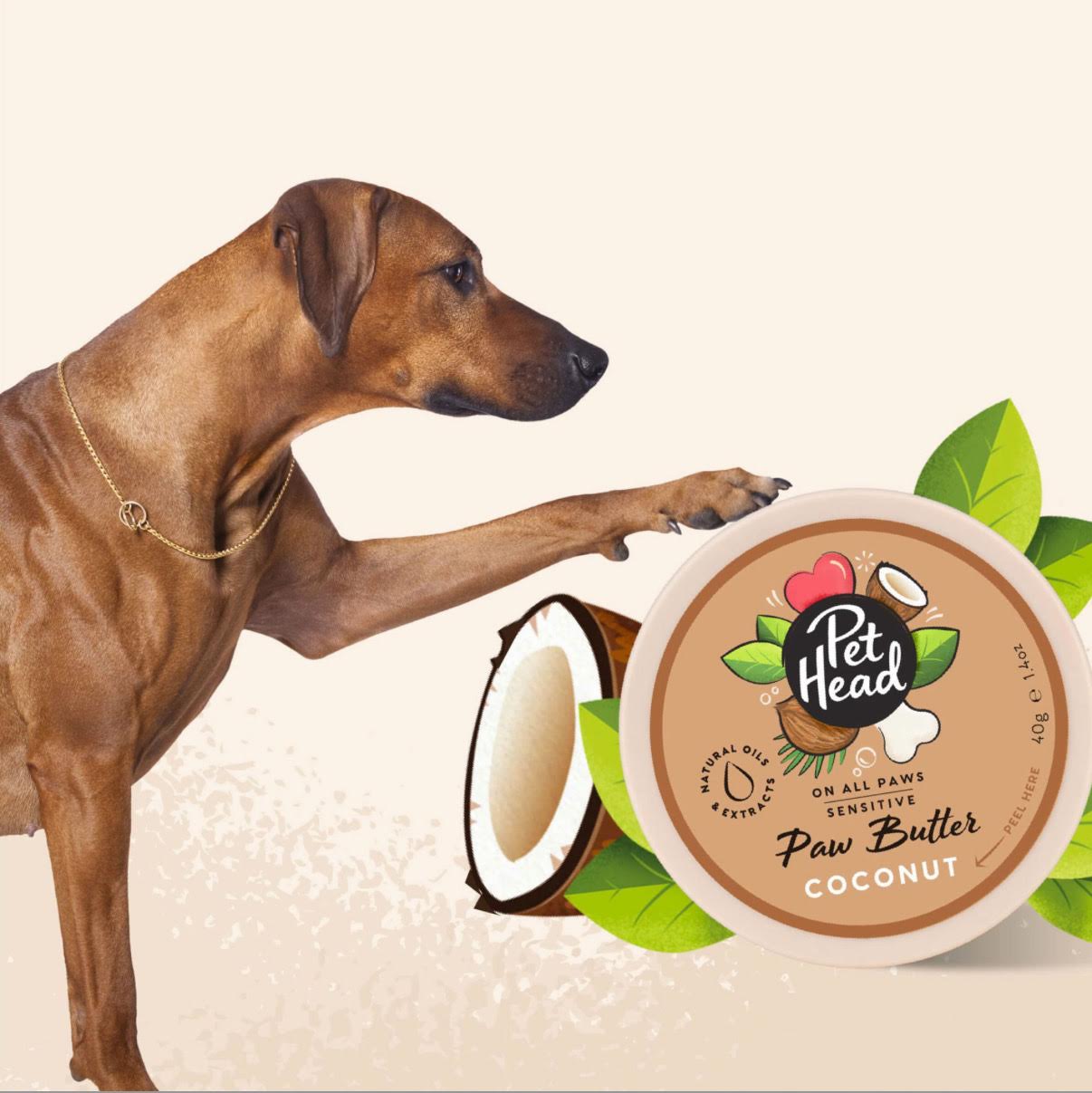 Baume pour pattes — Pet Head Coconut Paw Butter 40g