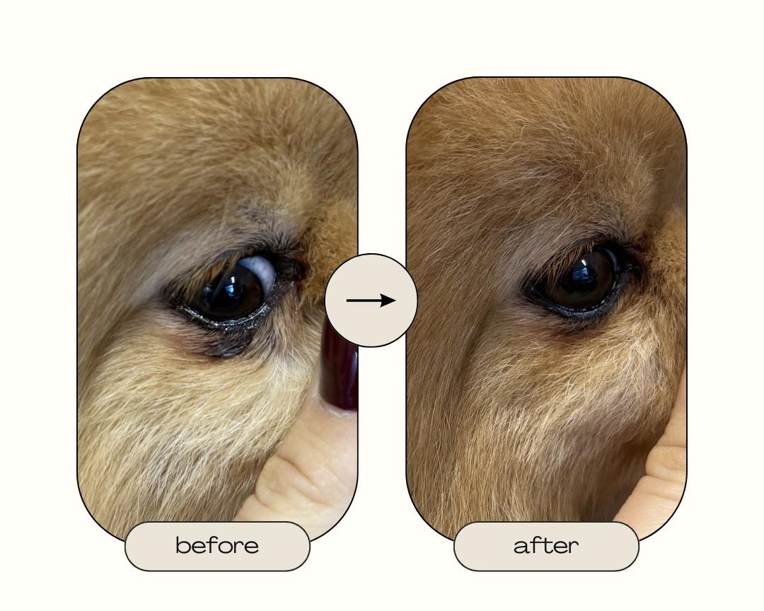 Lotion Yeux — Biogance 100ml