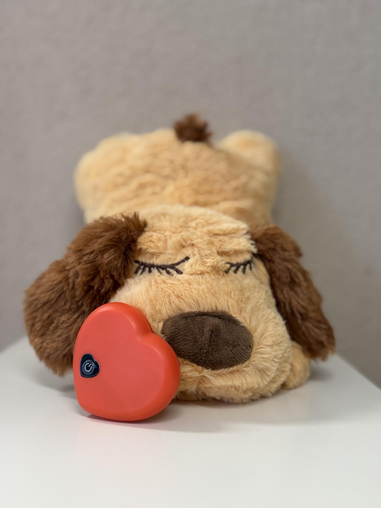 Peluche anti-stress pour chiens et chats