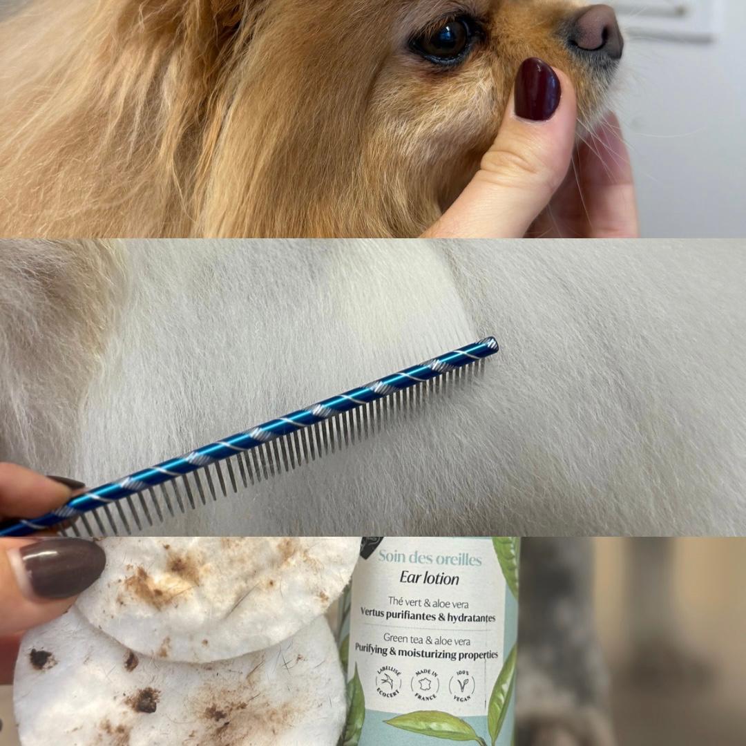 Coffret Hygiène quotidienne